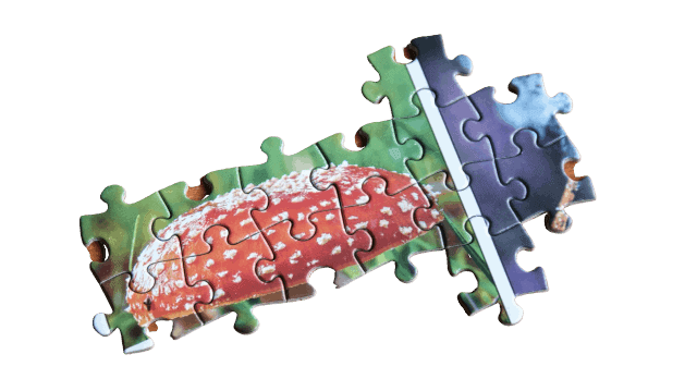 The Jigzone Guide to Being a Pro at Jigsaw Puzzles: Use our Jig-saw Puzzle Strategies, Tips, & Hints to Make Your Next Jigsaw Puzzle the Most Fun One Yet! The Jigzone Guide to Being a Pro at Jigsaw Puzzles: Use our Jig-saw Puzzle Strategies, Tips, & Hints to Make Your Next Jigsaw Puzzle the Most Fun One Yet!
